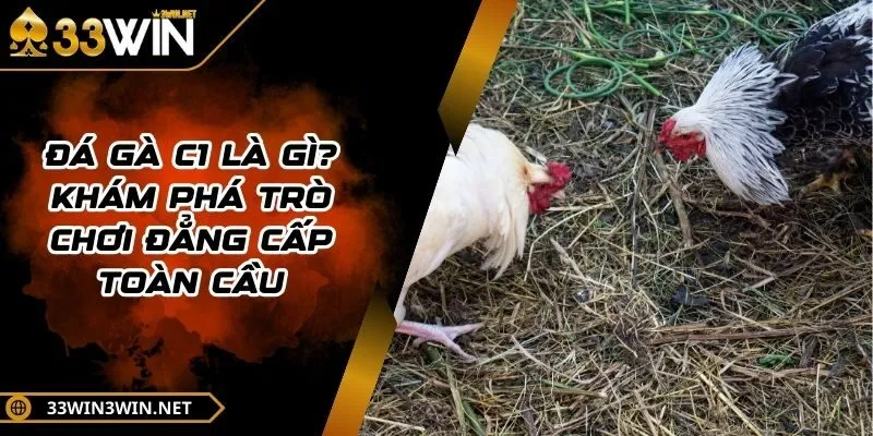 da-ga-c1-la-gi