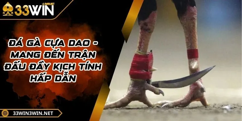 da-ga-cua-dao