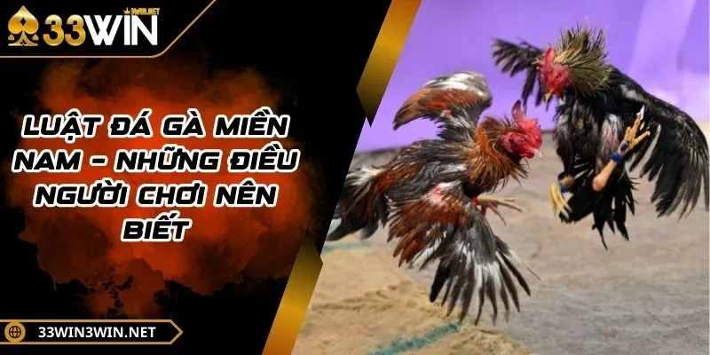 luat-da-ga-mien-nam
